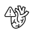 Kategorien