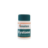 Cystone 446 mg tabletten