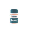 Gasex 100 tabletten